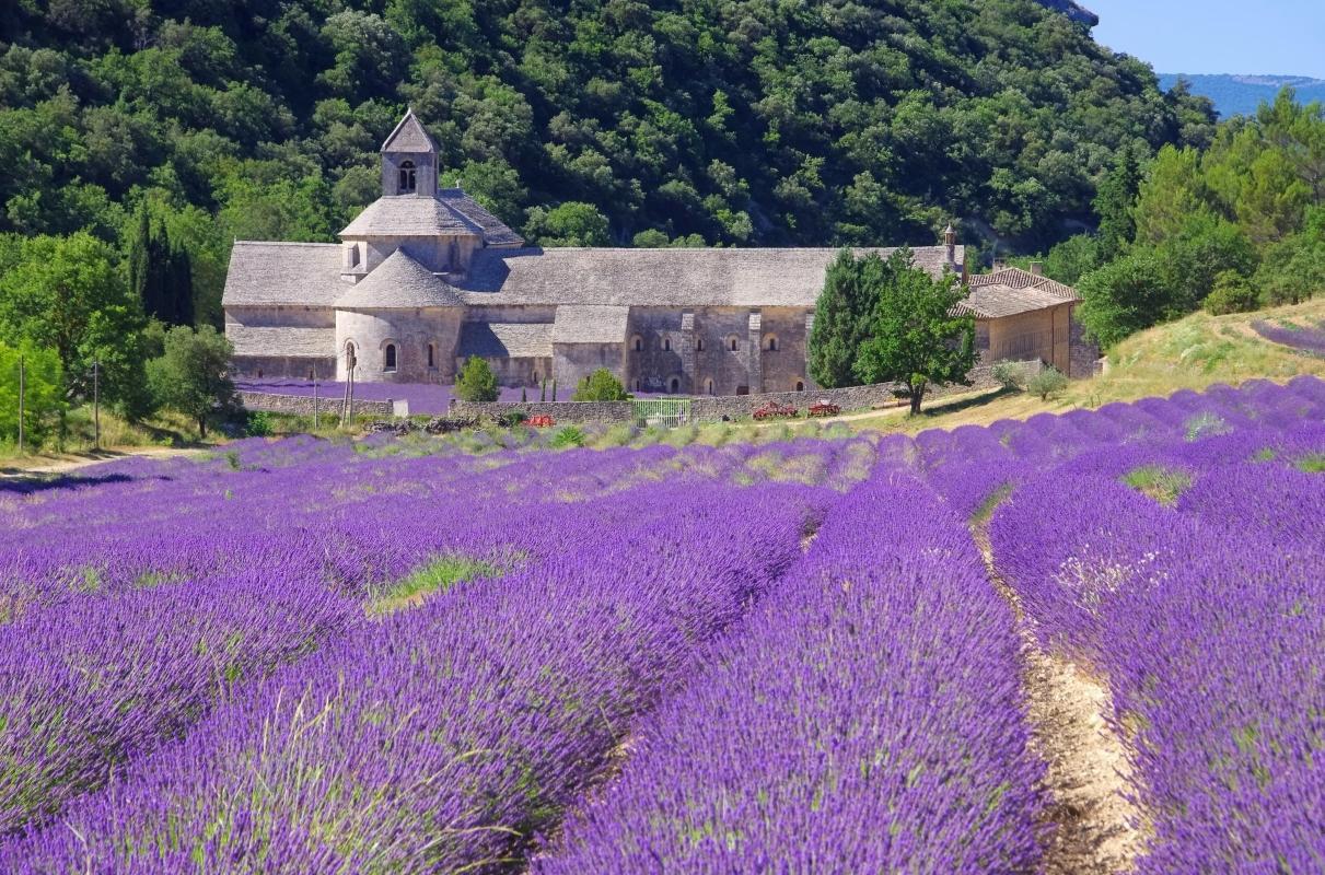 Senanque Abbey (Abbaye Notre-Dame de Sénanque)