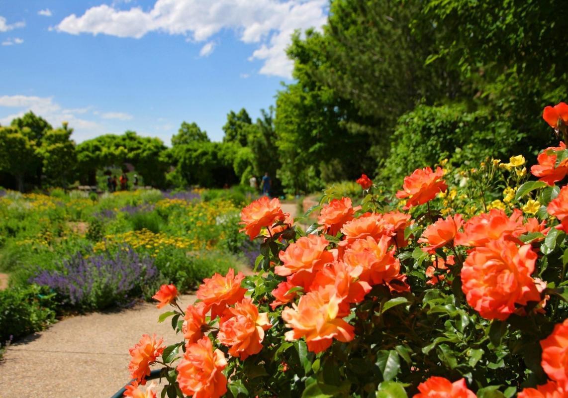 Red Butte Garden