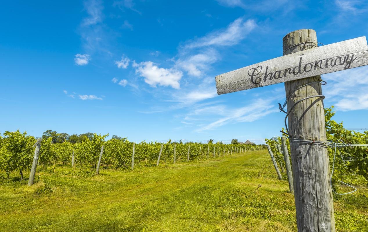 Blomidon Estate Winery