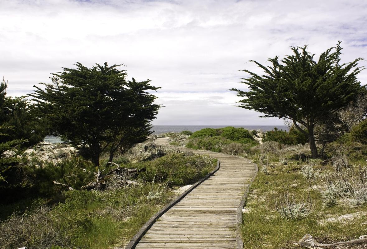 Asilomar State Beach