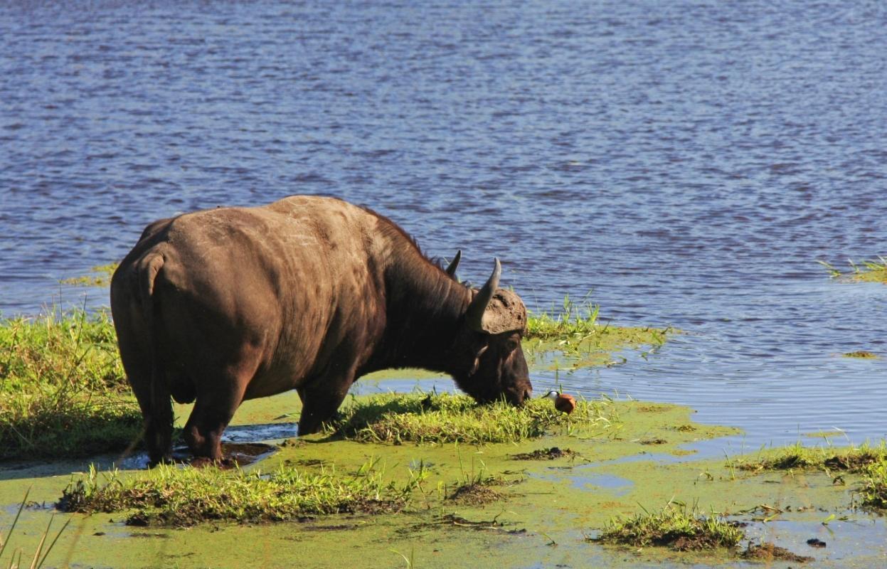 iSimangaliso Wetland Park