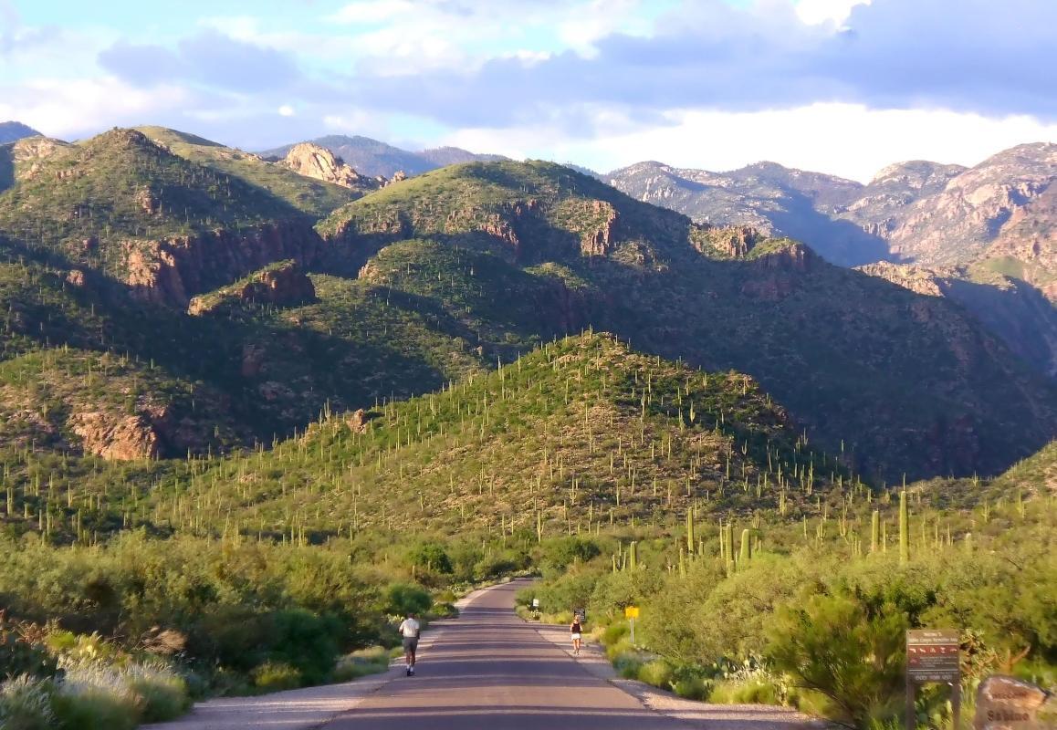 Sabino Canyon Recreation Area