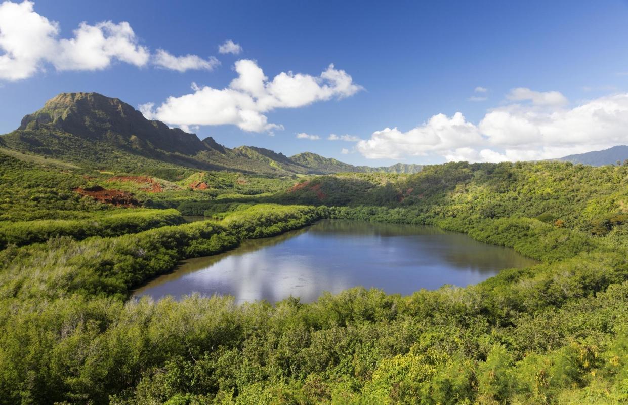 Menehune Fish Pond