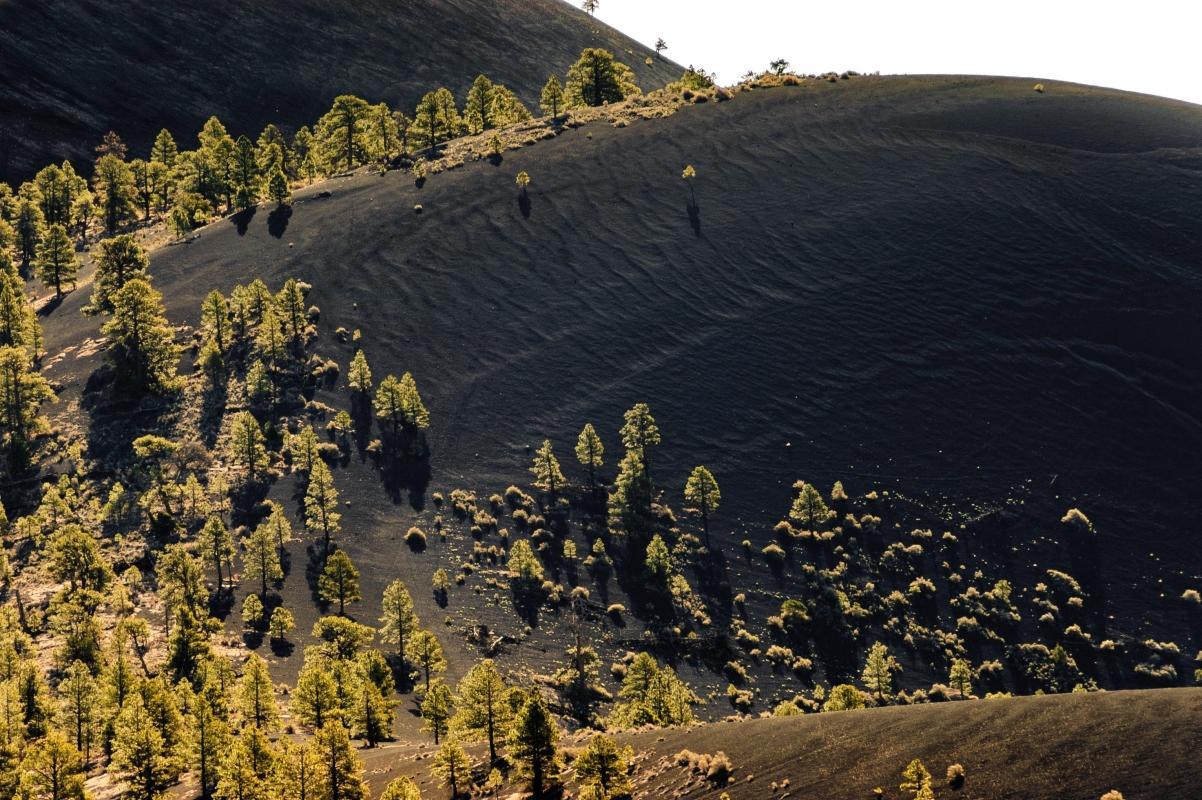 Sunset Crater Volcano National Monument