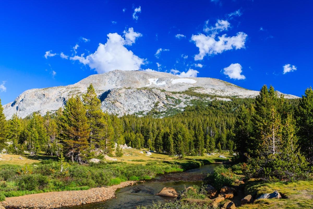 Tioga Pass