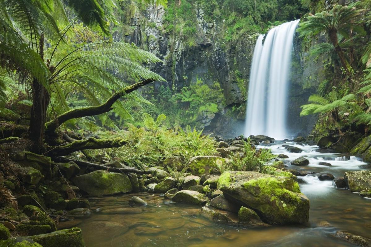 Great Otway National Park