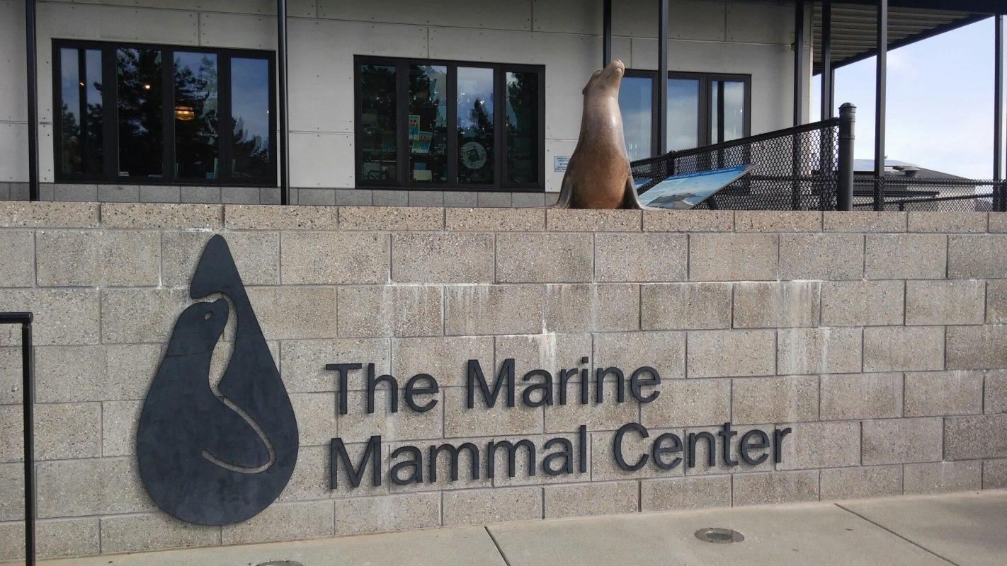 Marine Mammal Center