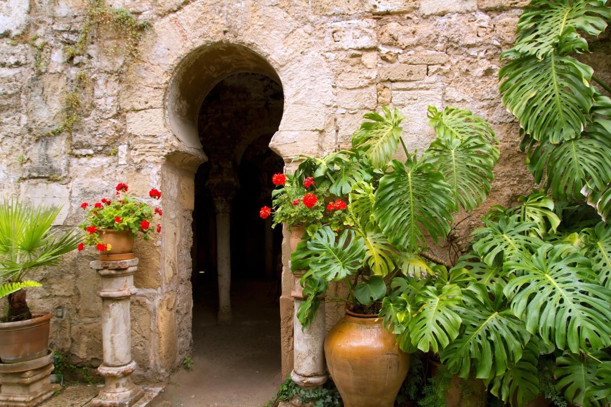 Palma Arab Baths (Baños Árabes)