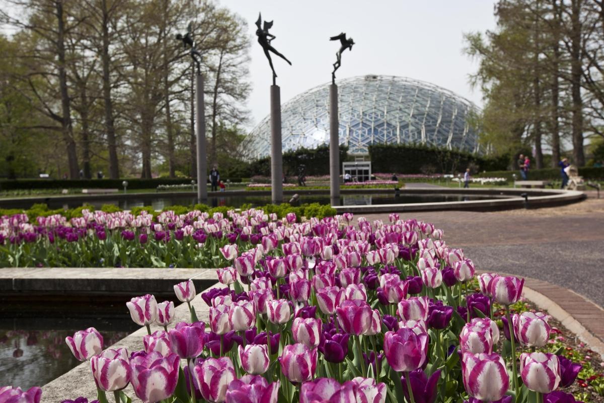 Missouri Botanical Garden