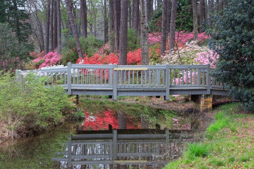 Callaway Gardens