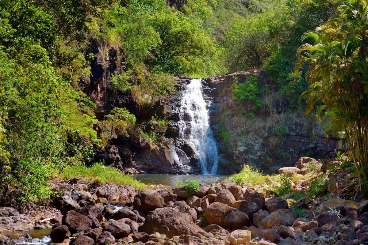 Waimea Falls