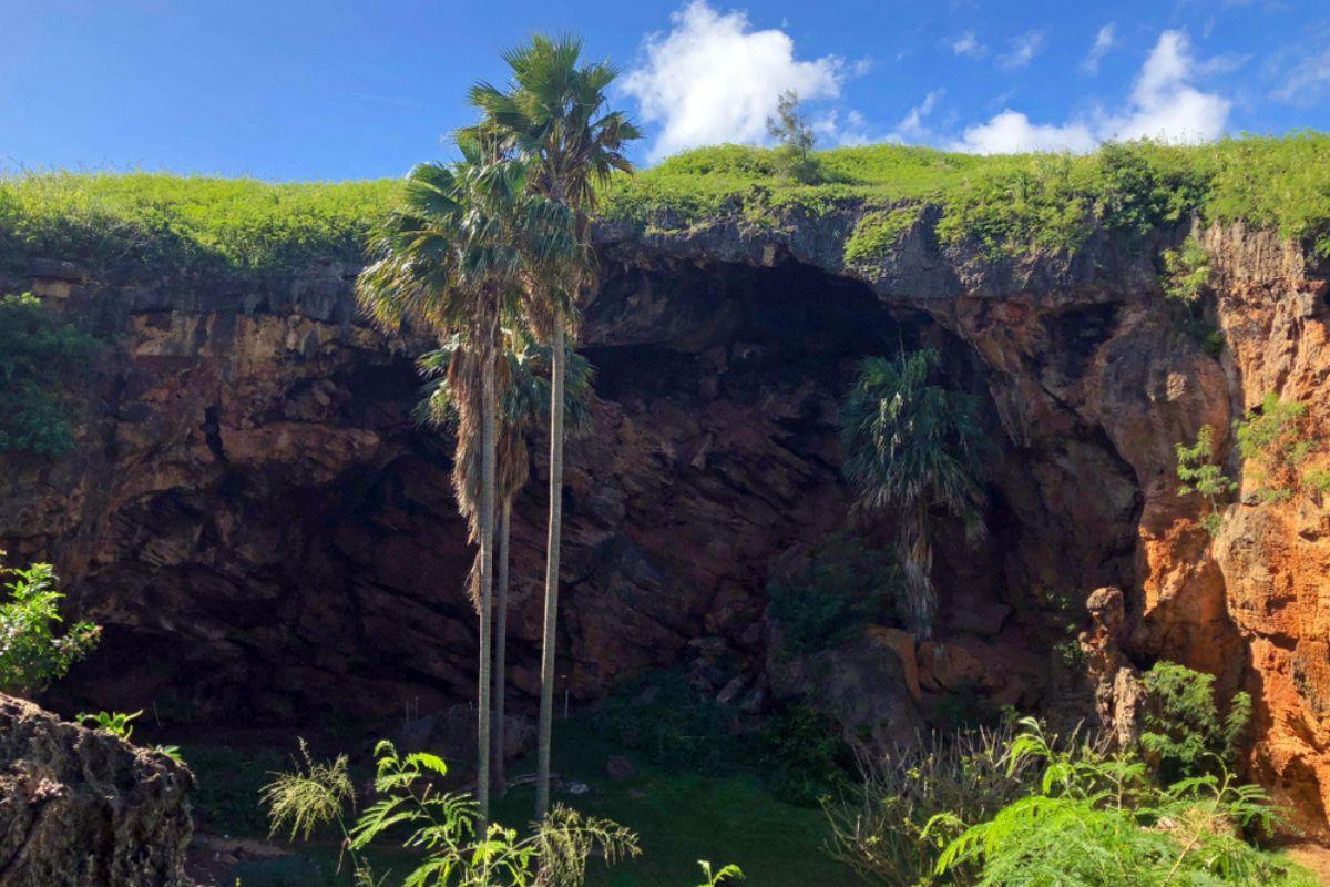 Makauwahi Cave Reserve