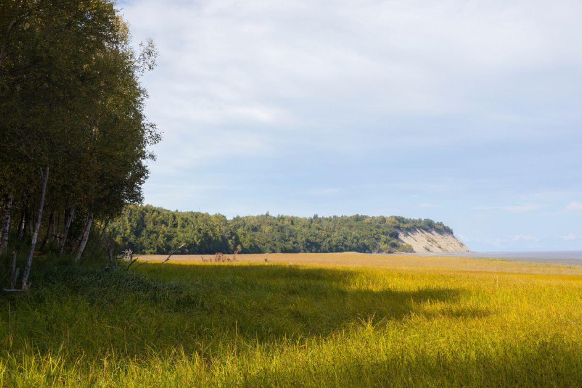 Tony Knowles Coastal Trail