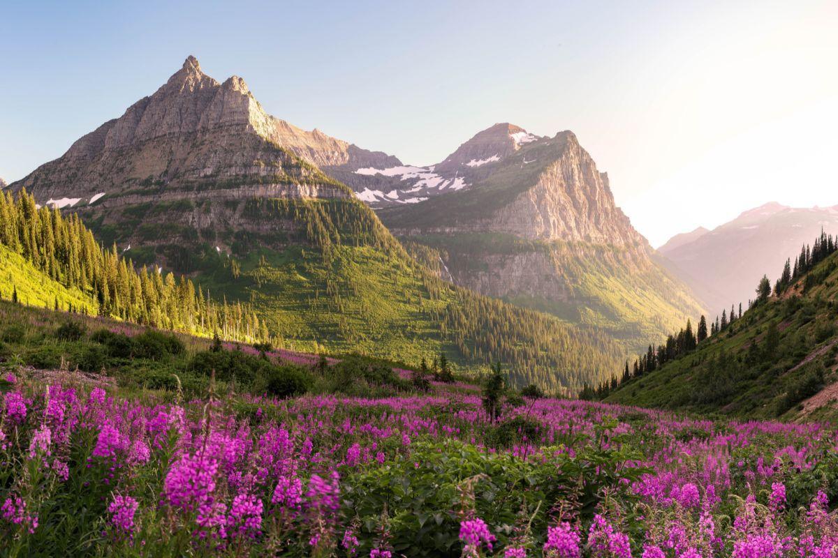 Glacier National Park