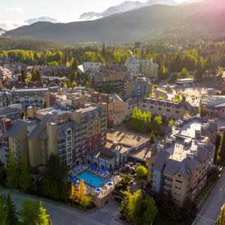 Cinnamon Bear | Hilton Whistler Resort & Spa