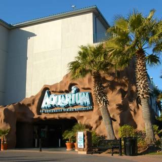 Aquarium - Kemah