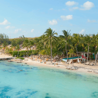 Mayan Monkey | Beach Club in Isla Mujeres