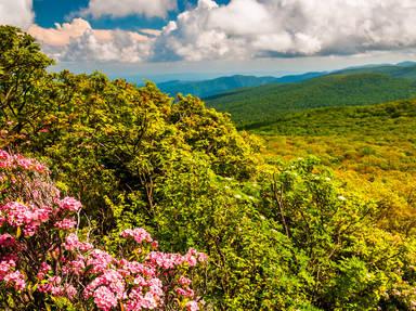 Skyline Drive