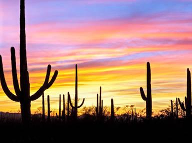 Southern Arizona