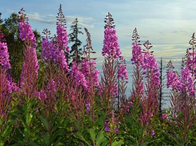 North Sterling Scenic Highway