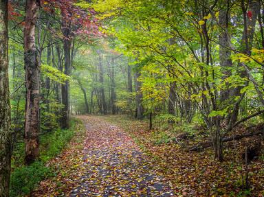 Tennessee's Cherohala Scenic Skyway