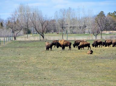 What to Do in Winnipeg