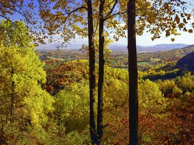 Blue Ridge Parkway - Virginia