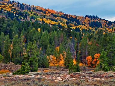 Logan Canyon Scenic Highway