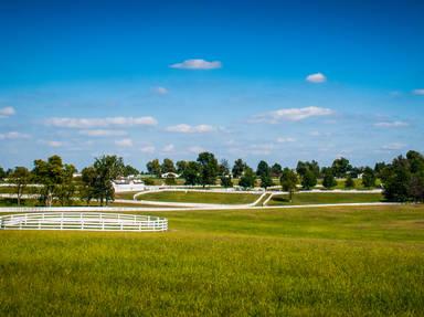 Martha Layne Collins Bluegrass Scenic Parkway