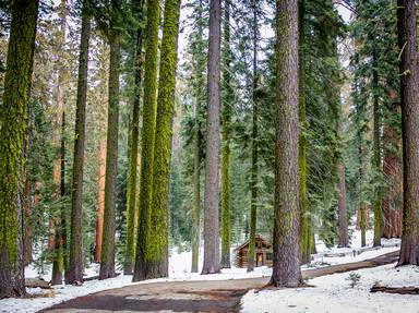 Yosemite National Park