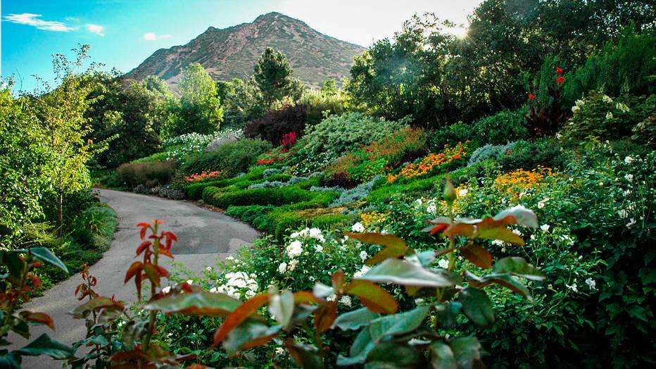 Courtesy of Red Butte Garden and Arboretum