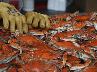 A Guide to Baltimore's Crab and Seafood Scene