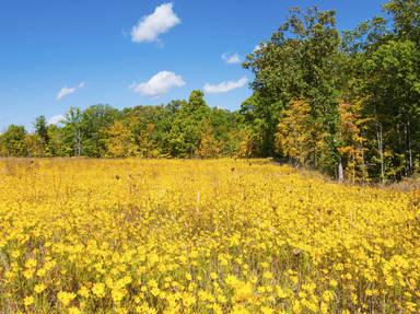 Cuyahoga Valley National Park