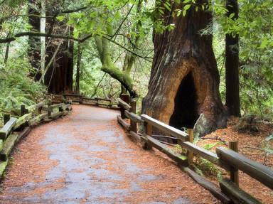 Muir Woods National Monument