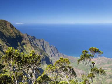 Waimea Canyon Scenic Drive