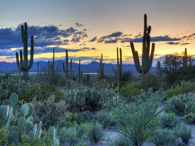 Tucson Mountains Scenic Highway