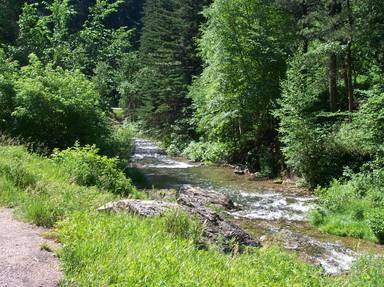 One Day in the Black Hills