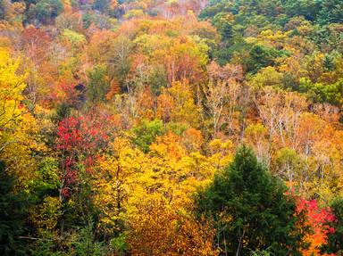 Hocking Hills Scenic Byway