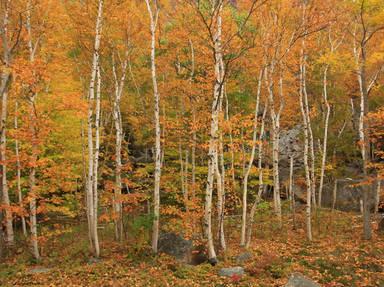 Old Canada Road National Scenic Byway