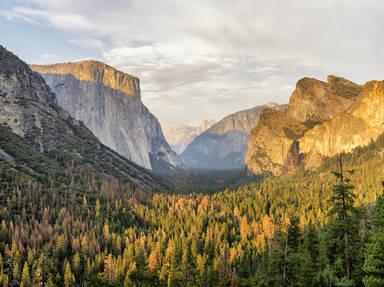 Wawona Scenic Road