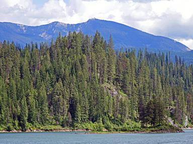 Washington's International Selkirk Scenic Loop