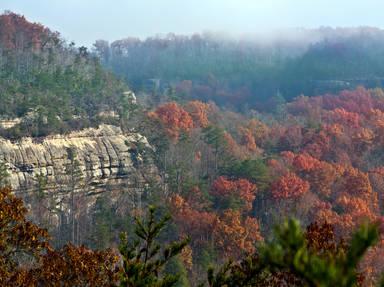 Kentucky's Scenic Route 90