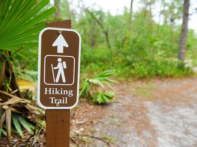 Cumberland Island National Seashore